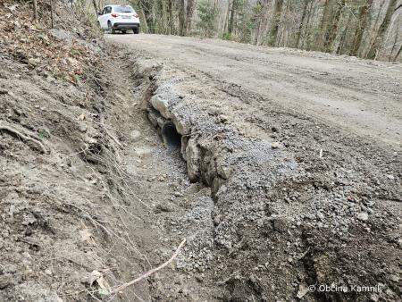 Markovo-Rožično (4)